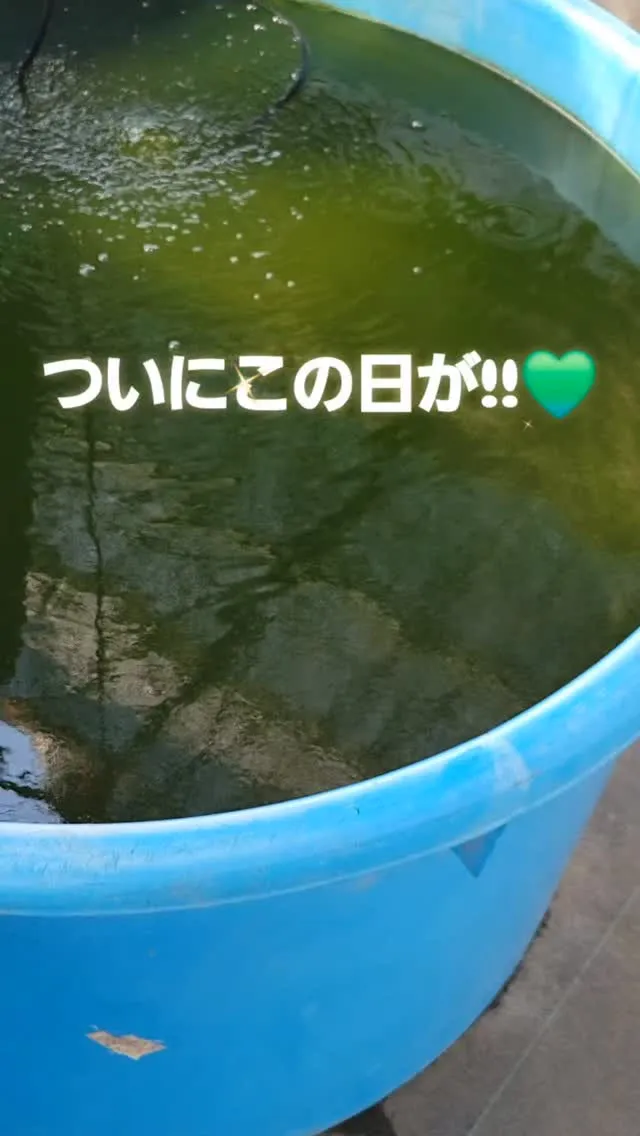 湧きました！！！